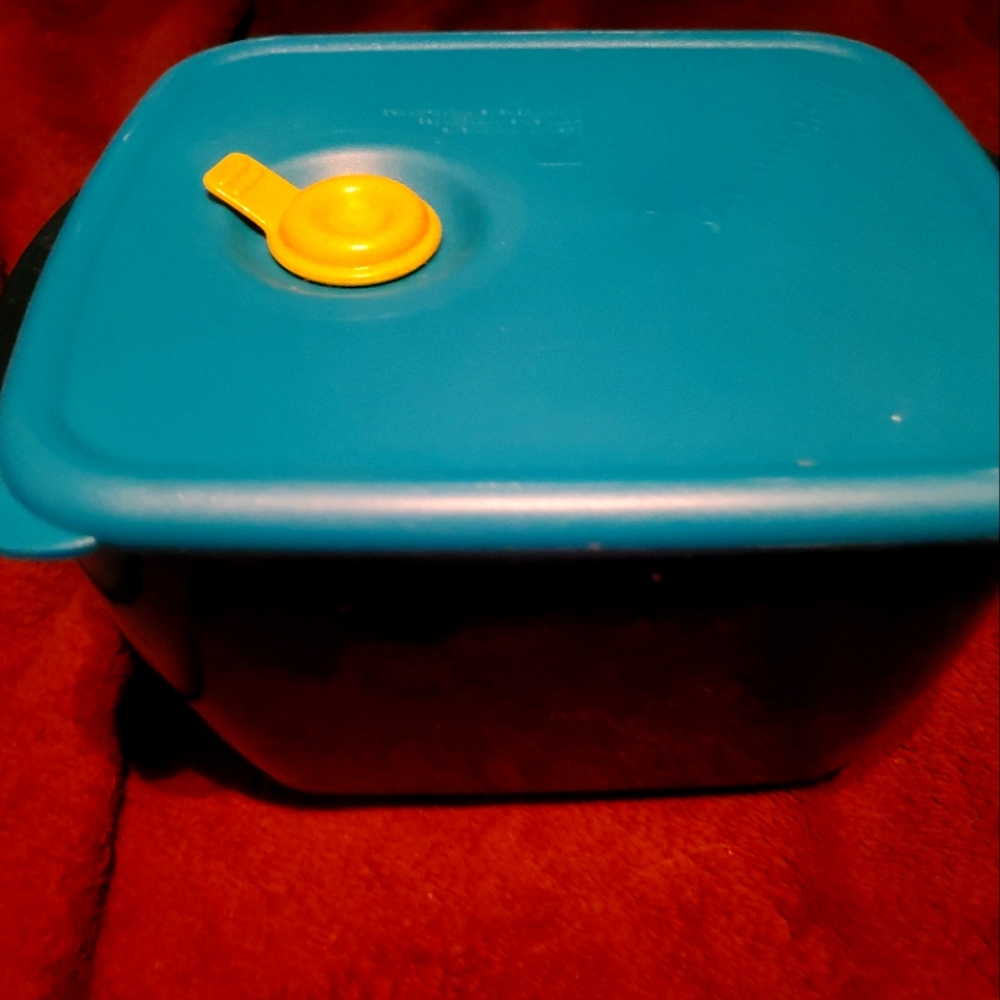Tupperware Vent and Serve